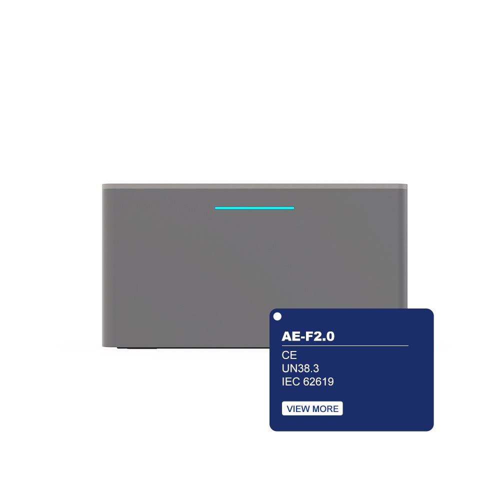 AE-FS2.0-2H2-1